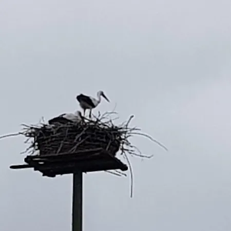 Ruhige Direkt Am Nord-ostsee-kanal Апартаменты